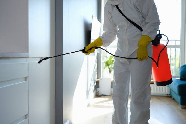 Best Mold Odor Removal Services  in Riverview Rk, PA